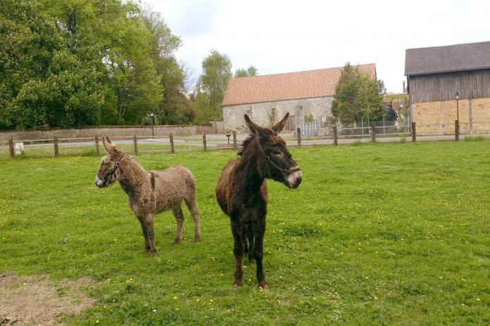 Parc animalier de Janvry