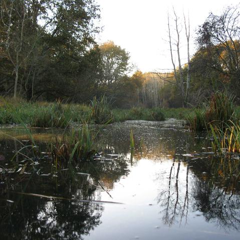 Saint Remy Les Chevreuse Parc Naturel Regional De La Haute Vallee De Chevreuse