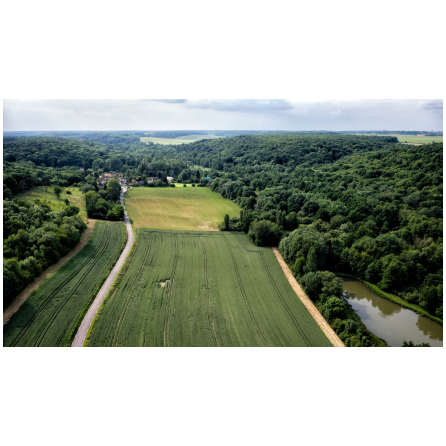 Visite de la Roselière de Maincourt