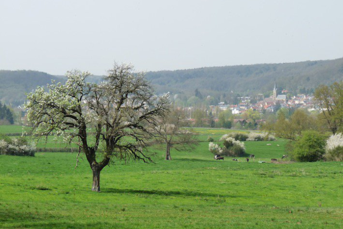 Balade autour de Chevreuse