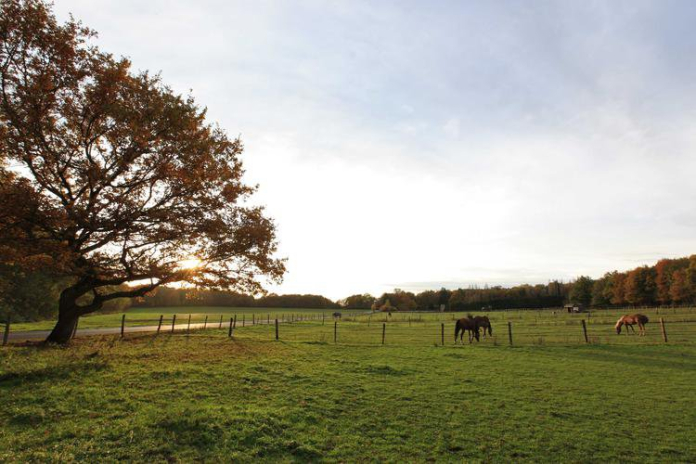 La balade du Louis d'Or