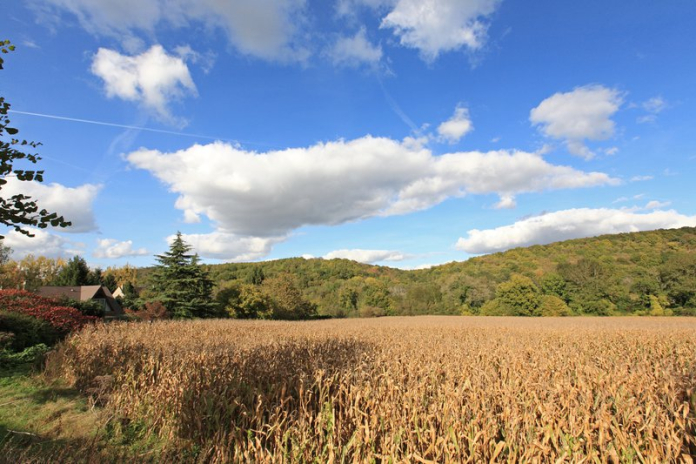 Château de Dampierre et marais de Maincourt