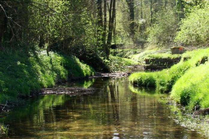Les Coteaux de l'Yvette