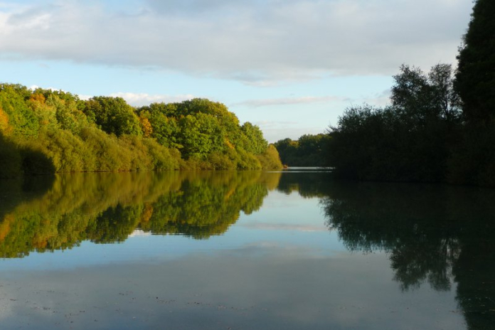 L'Étang de la tour et le Roi Soleil