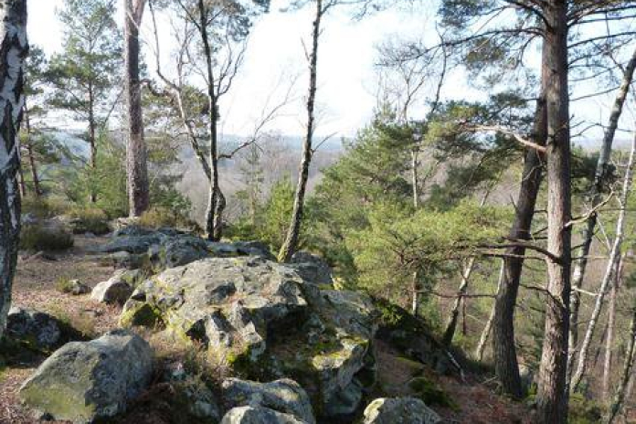 Forêt de Rambouillet et rochers d'Angennes