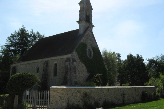 Forêt vallonnée et arbres remarquables