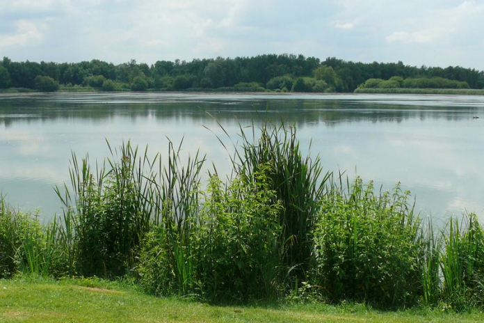 Randonnée Lisière et Campagne