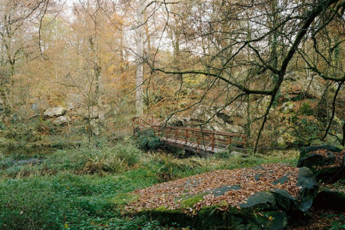 Reliefs et grès des vaux de Cernay