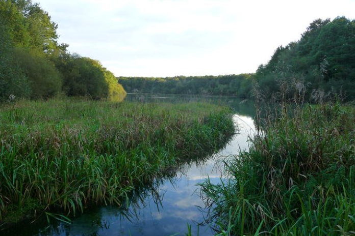 Vallée intime et rigoles royales
