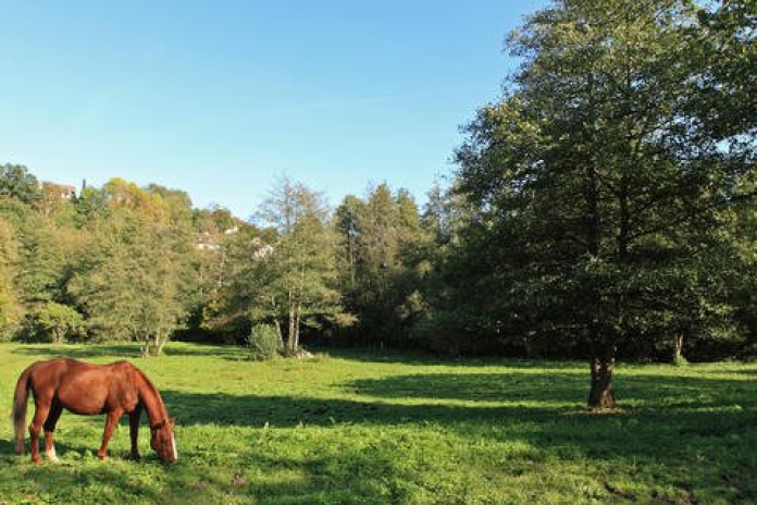 Village perché et verte vallée