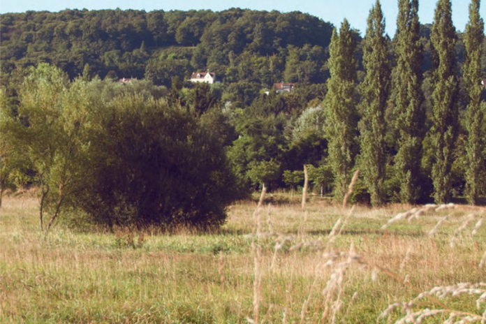 Une ville à la campagne