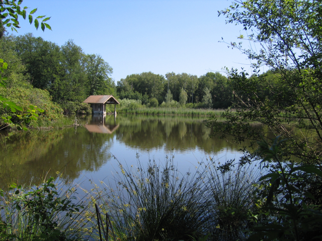 Réserve de Bonnelles