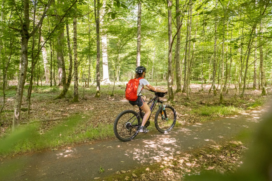 Velo electrique magny les hameaux hot sale