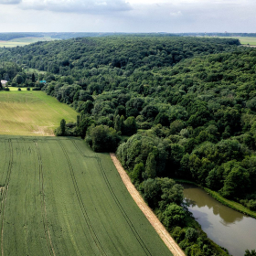 Visite de la Roselière de Maincourt