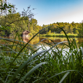 La Réserve naturelle régionale des Etangs de Bonnelles 